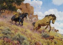 Western 5x7's