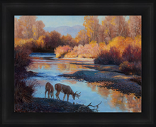 South Fork White Tails