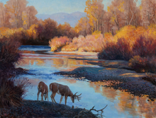 South Fork White Tails