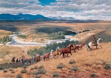 Where the Wind Blows Free