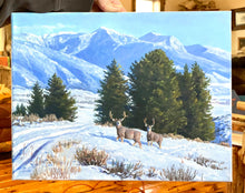 On the Swan Valley Winter Range 11x14