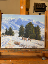 On the Swan Valley Winter Range 11x14