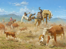 Western 5x7's
