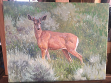 Button Buck 11x14