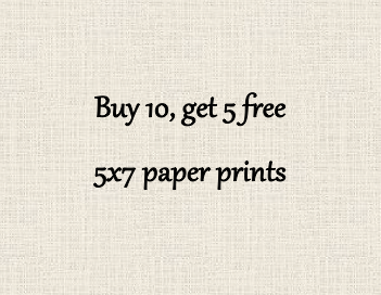 Buy 10, Get 5 FREE – Clark Kelley Price