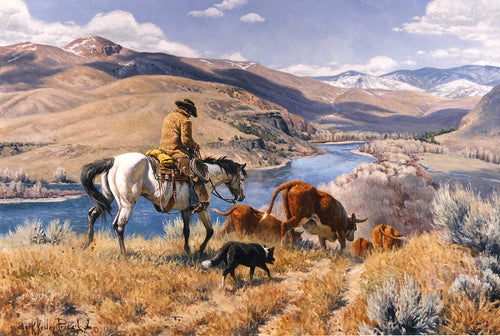 Snake River Cowboy