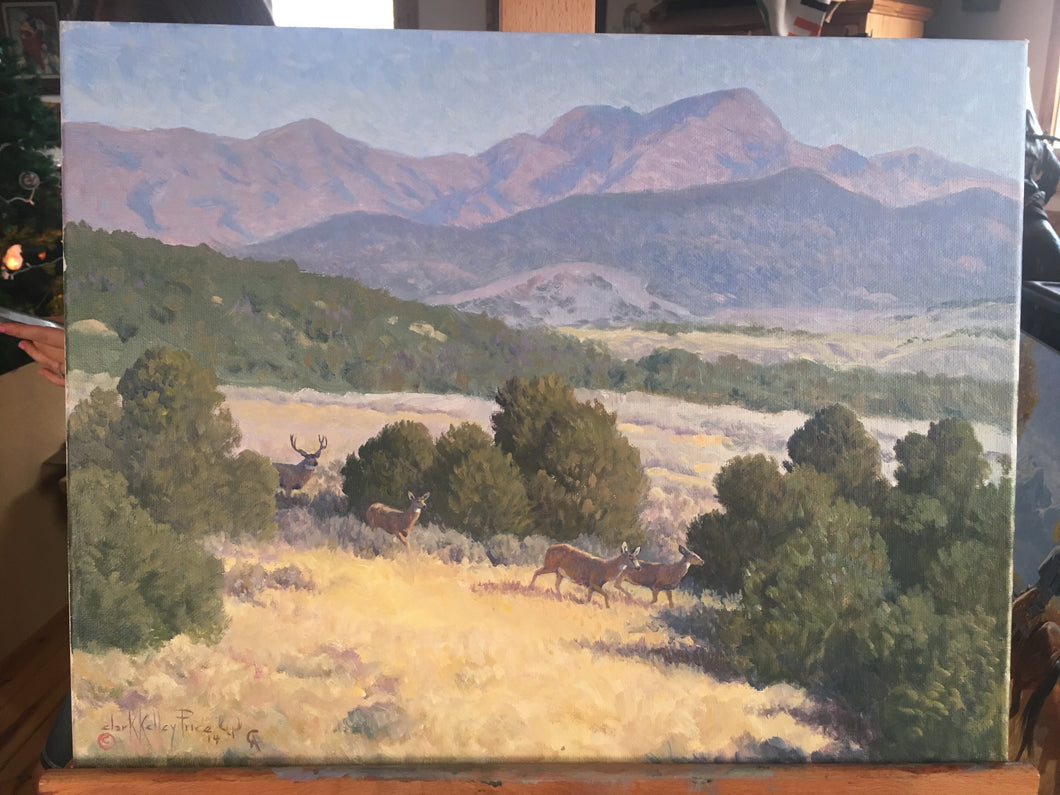 The Way of the Muley Buck 16x20