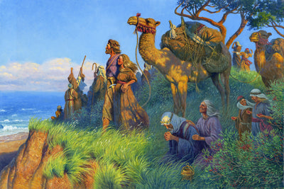 We Beheld the Sea, Which We Called Irreantum